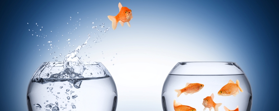 Lejek sprzedażowy dla drogich usług i produktów